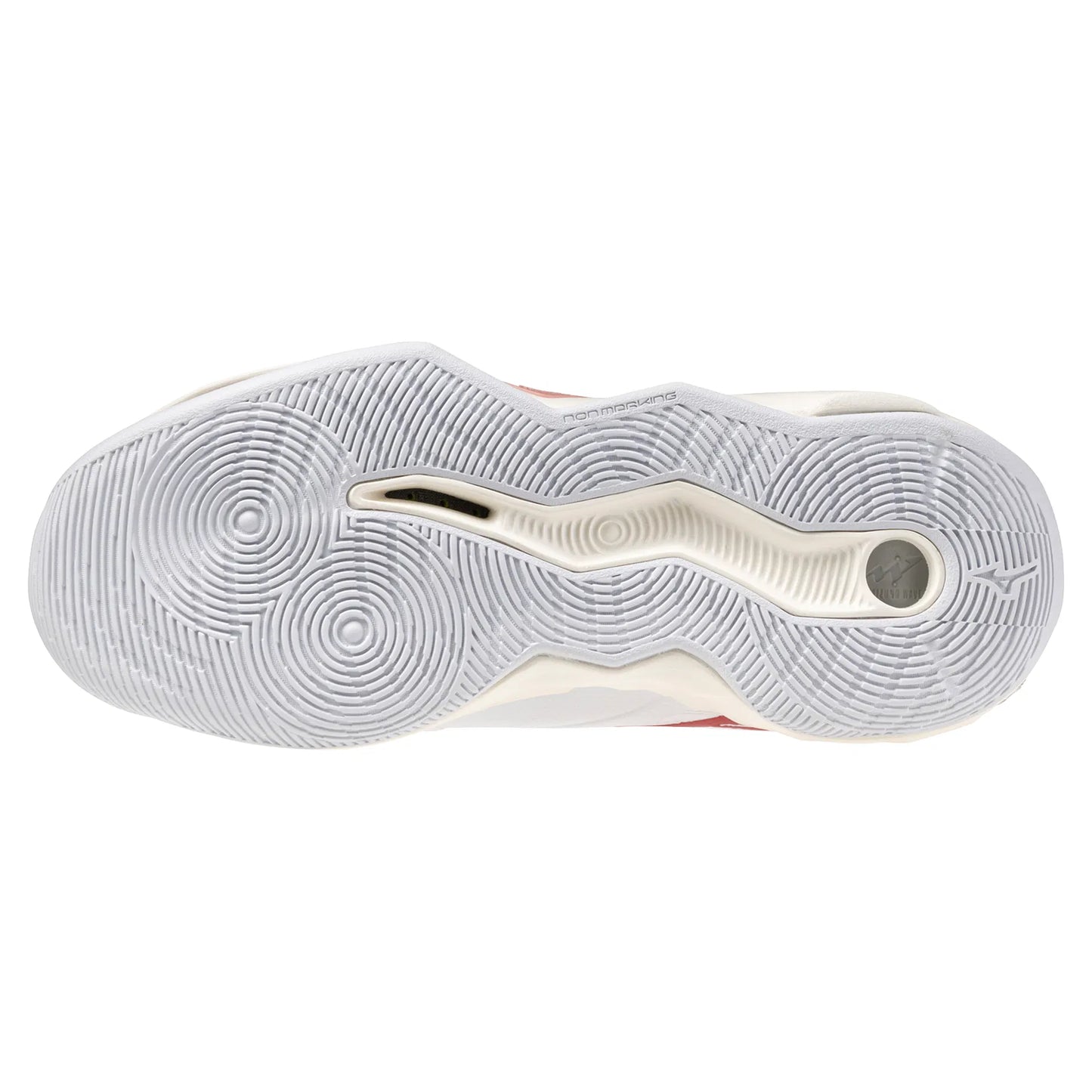 Mizuno Wave Momentum Pro