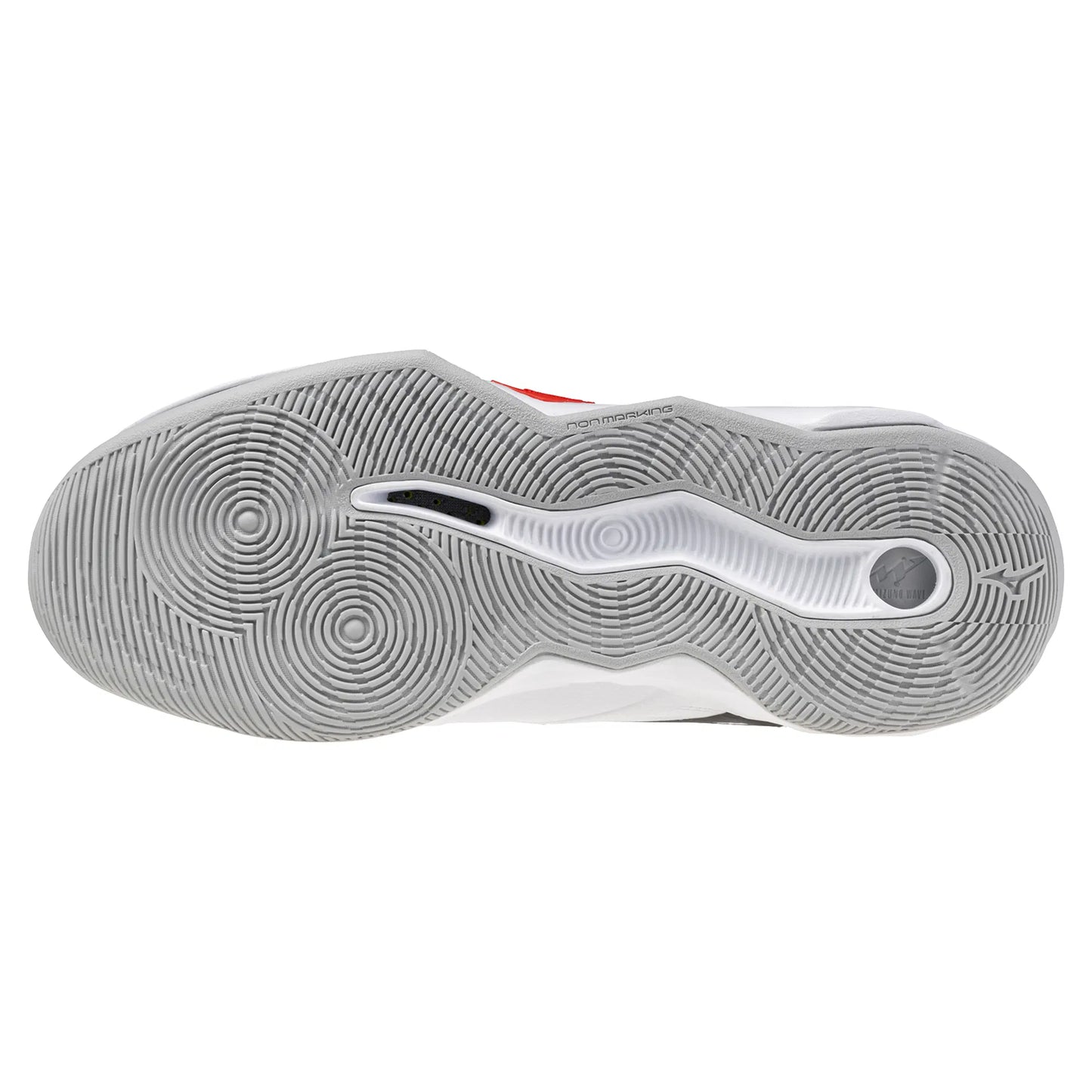 Mizuno Wave Momentum Pro