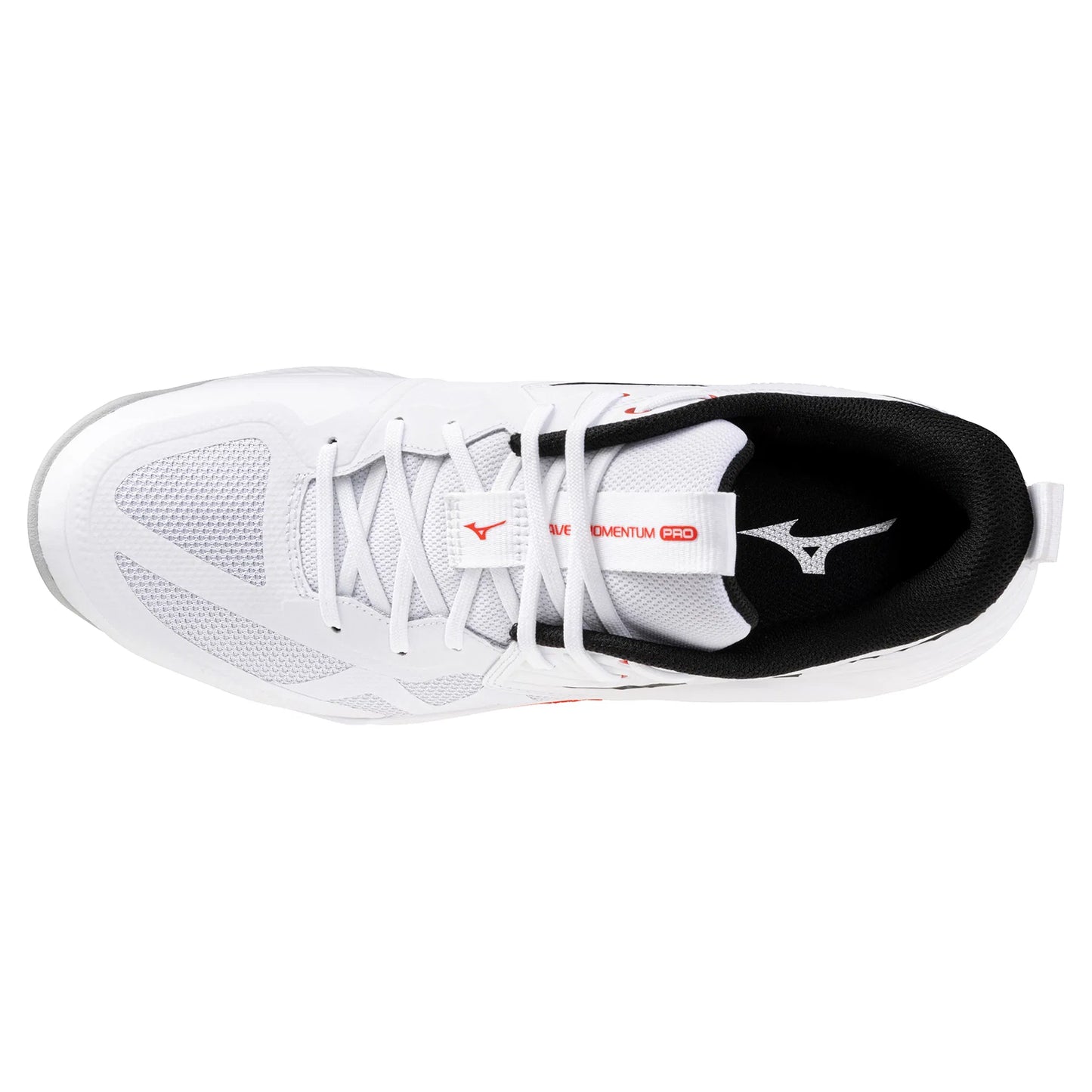 Mizuno Wave Momentum Pro